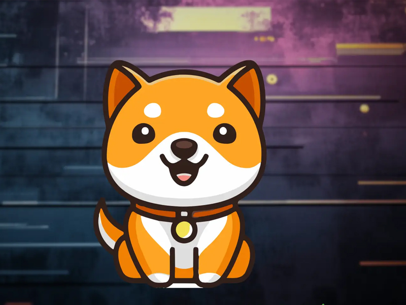 BabyDoge Coin price chart showing recent market activity and volatilit