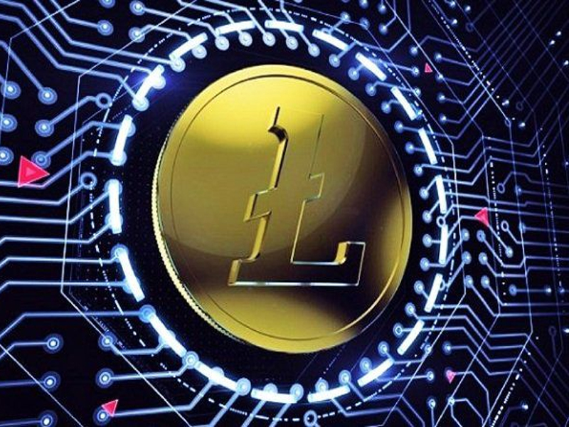 Visualization of Litecoin transactions across a decentralized network with blockchain nodes